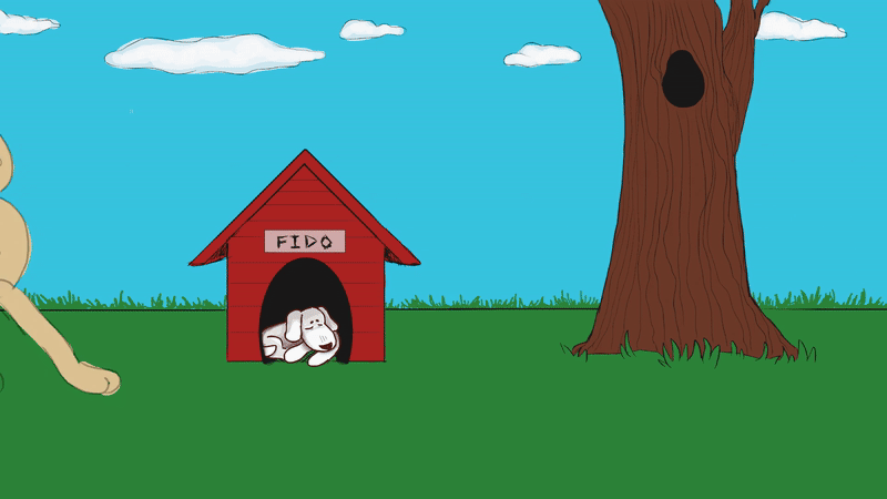 Walk Across Practice (2024)